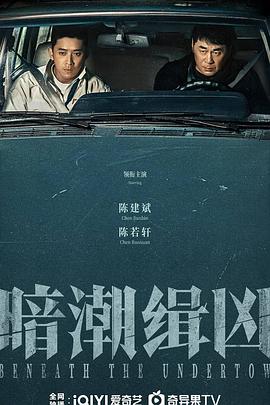 暗潮缉凶4k高清[夸克迅雷网盘种子资源下载]-SeedHub