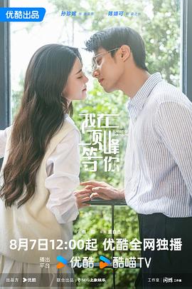 我在顶峰等你4k高清[夸克迅雷网盘种子资源下载]-SeedHub