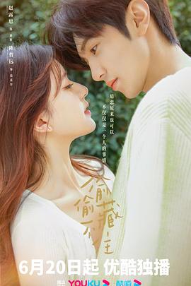 偷偷藏不住4k高清[夸克迅雷网盘种子资源下载]-SeedHub