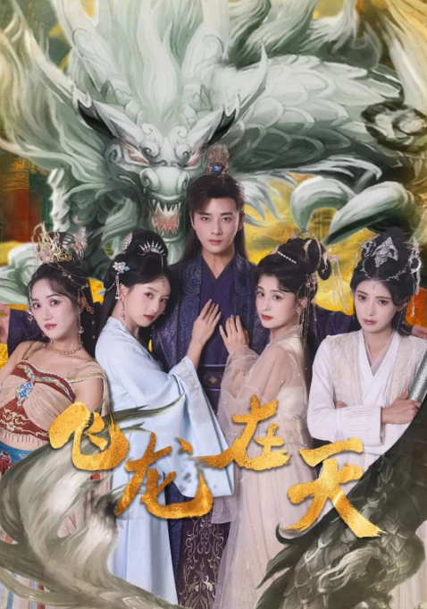 飞龙在天短剧4k夸克网盘种子资源下载-SeedHub