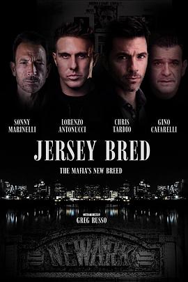 帮派风云迅雷下载夸克网盘4K蓝光bt资源下载-SeedHub