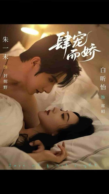 肆宠而娇短剧全集免费观看完整版夸克网盘下载-SeedHub