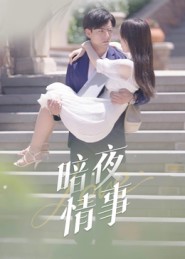 暗夜情事短剧全集免费观看完整版夸克网盘下载-SeedHub