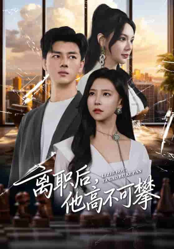 离职后他高不可攀短剧全集免费观看完整版夸克网盘下载-SeedHub
