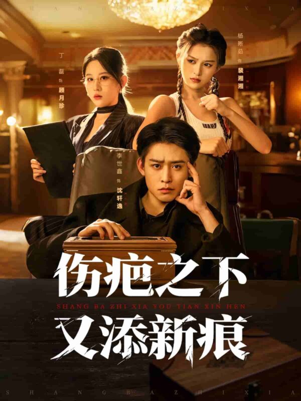 伤疤之下又添新痕短剧全集免费观看完整版夸克网盘下载-SeedHub