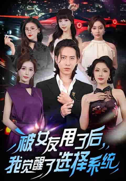 被女友甩了后我觉醒了选择系统短剧全集免费观看完整版夸克网盘下载-SeedHub